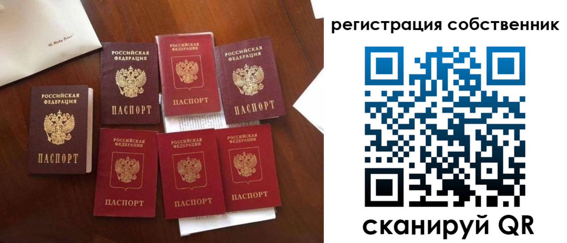найти адрес прописки в Заволжске